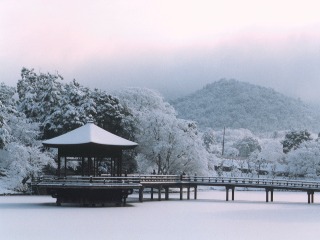 Ukimido in snow